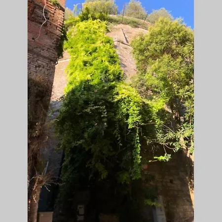 Apartman Bilocale Moderno In Pieno Centro *